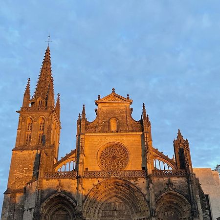 Le Clos De La Cathedrale Bazas Exteriör bild