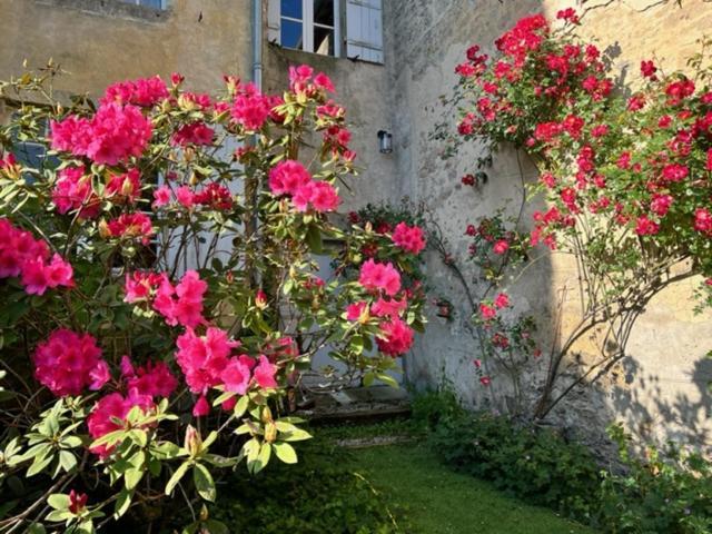 Le Clos De La Cathedrale Bazas Exteriör bild